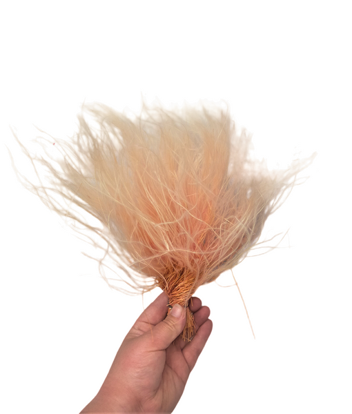 Dried/Preserved Flowers Feather Grass - Baby Pink