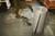 Sustayn 32"x150' Universal Heavy Sorbent Roll