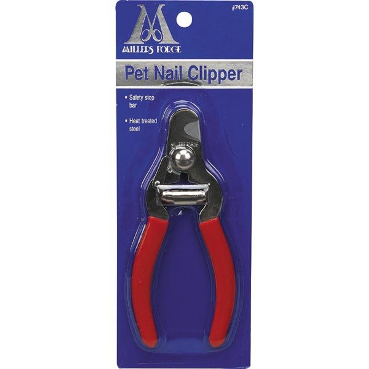 14 Best Toenail Clippers for Seniors That Will Make Their Life Easy |  PINKVILLA