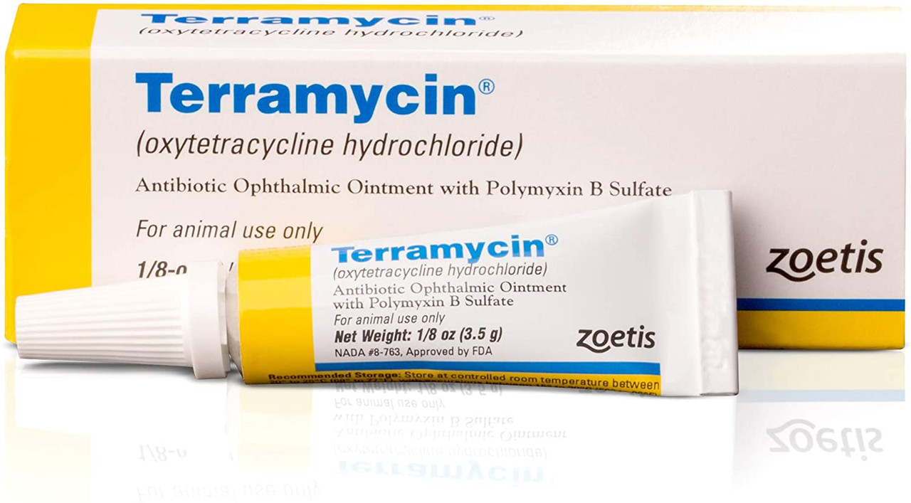 how do i apply terramycin ophthalmic ointment to my dog
