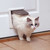 PetSafe 4-Way Locking Cat Door - Lifestyle
