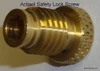 Actisol 300028 Lock Screw
B&G 22046700 SL-162 Lock Nut
