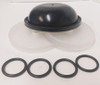 AR 43283 Desmopan Diaphragm Kit for AR30 pump
