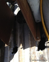 Pest Control Sprayers - Do it Yourself Works, Sometimes