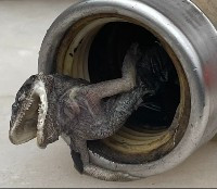 Qspray Presents: Pest Control Equipment Believe It or Not!