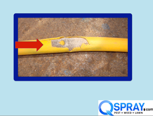 Don't Let Avoidable Spray Hose Issues Cost You Time and Money 