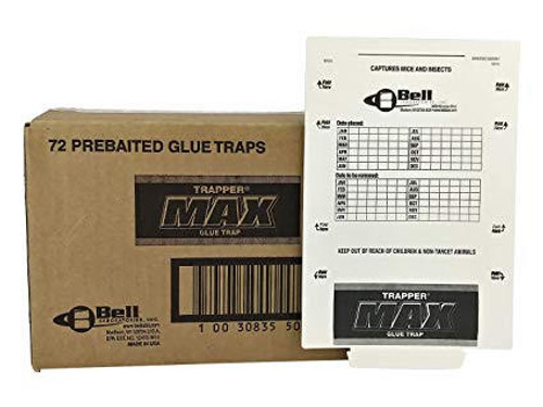 MAX-CATCH, professional sticky trap