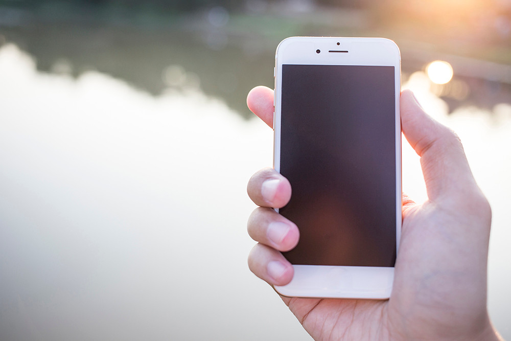 Digital Legacy: What We Leave Behind in the Online World