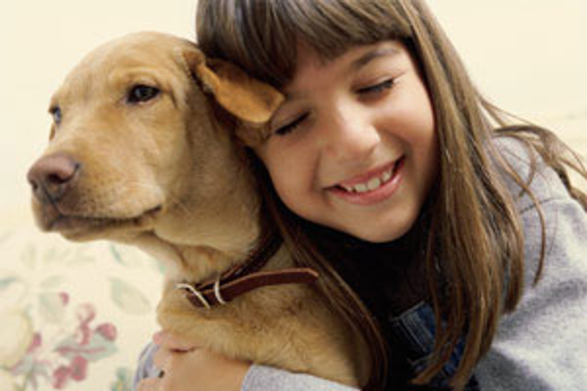 Pet Loss Grief is a Valid Emotion