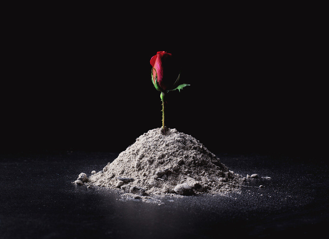 Opening to the Pain of Loss