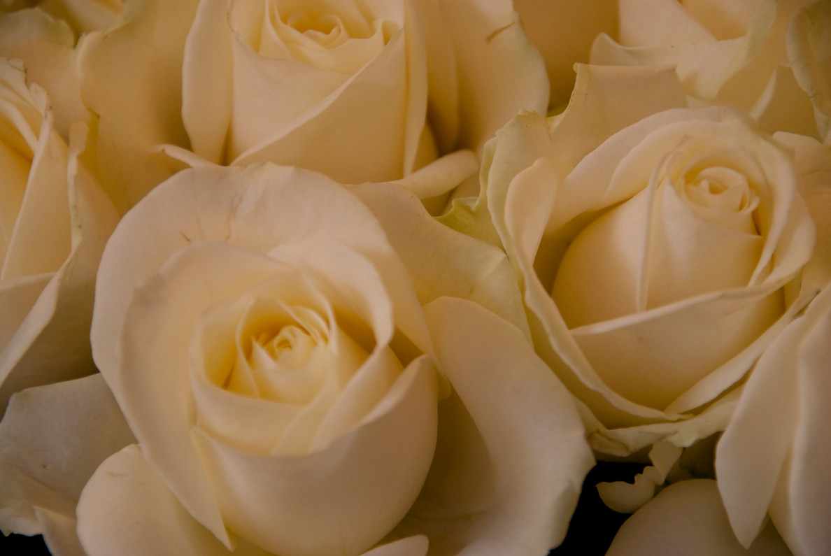 What To Do On Valentine’s Day When You Are Alone