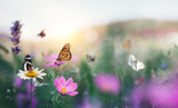 Bittersweet Springtime: Surviving Mother’s and Father’s Day