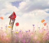 My Mother’s Welcome for Visitors – Visitors With Red Wings