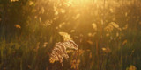 CHASING THE SHADOW OF GRIEF