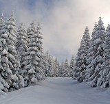 The Ice Storm, the Friend, and the Wardrobe The Ice Storm, the Friend, and the Wardrobe