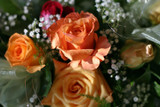 Flowers Will Fall