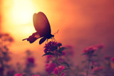 A Dozen Ways to Make Good Things from Grief