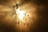 Mysterious Moments