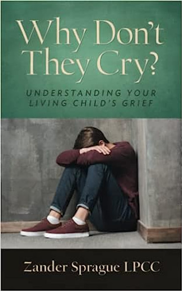 Why Don't They Cry?: Understanding Your Living Child’s Grief