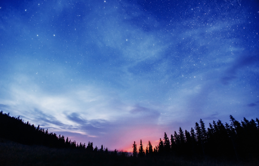 Once upon a Starry, Starry Night - Centering Grief Resources