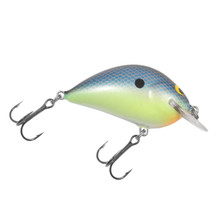 Blue Chartreuse Shad