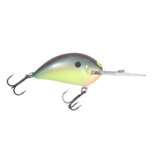 Blue Chartreuse Shad