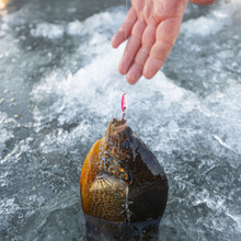 TUNGSTEN BUCK-SHOT SPOON