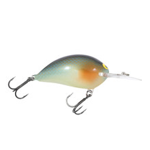 Bagley Baits bst05-sbg Bagley Spintail 05 Schwarz Streifen Gold Folie, 12,7  cm : : Sports & Outdoors