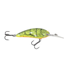 Northland Tackle Rumble Monster