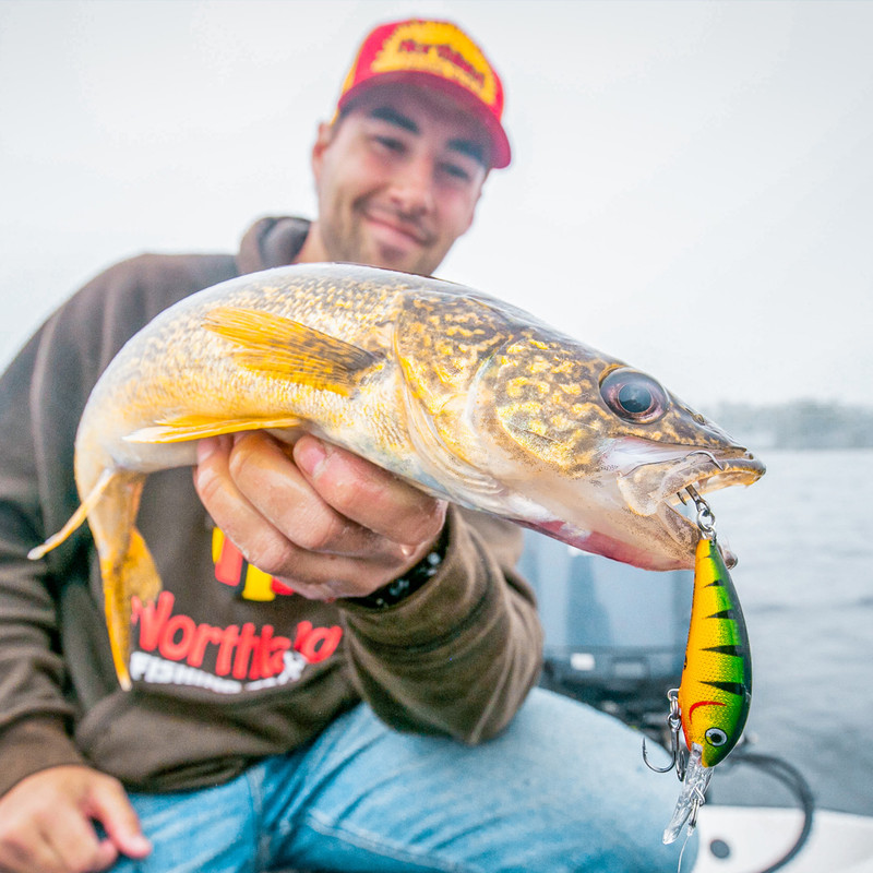 CABIN KIT - WALLEYE EDITION