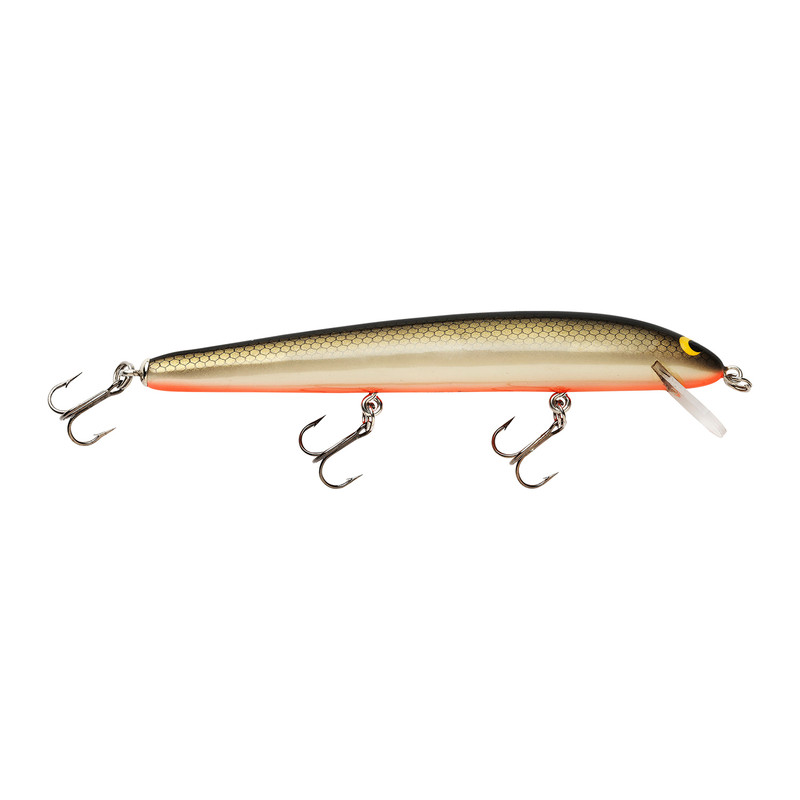 Bagley Monster Shad 4SF5-BSOT : Bagley´s For Sale