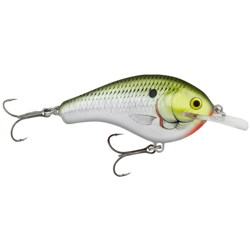 Fishing Flat Sided Crankbaits for Winter and Cold Water Bass. #flatsided  #balsa crankbaits 