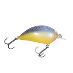 Sunny B Crankbait - Perfectly Balanced Fishing Lure