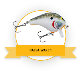 Bagley Bait Co. | Shop Online