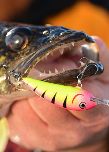 Shop NEW Hardbaits