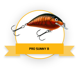 Pro Sunny B