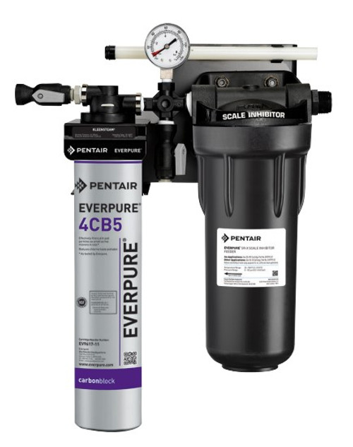 Everpure EV9797-50 KleenSteam CT