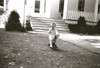 Dean in the front yard as he looked when he had his first cigarette, with his Mother's permission, in 1958. Learn all about this and more smoking adventures in Chapter 3 - My Life as a Smoker.