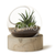 [Sample] Orbit Terrarium - Large ä å æ ğ ë ö C ç Ç E é èè ì ò ù À ó ú ü Á É Í Ñ