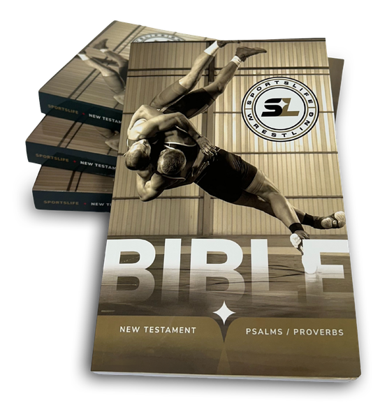 Wrestling New Testament