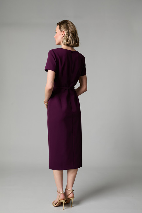 Fee G Felicity Tailored Button Front Dress Plum 