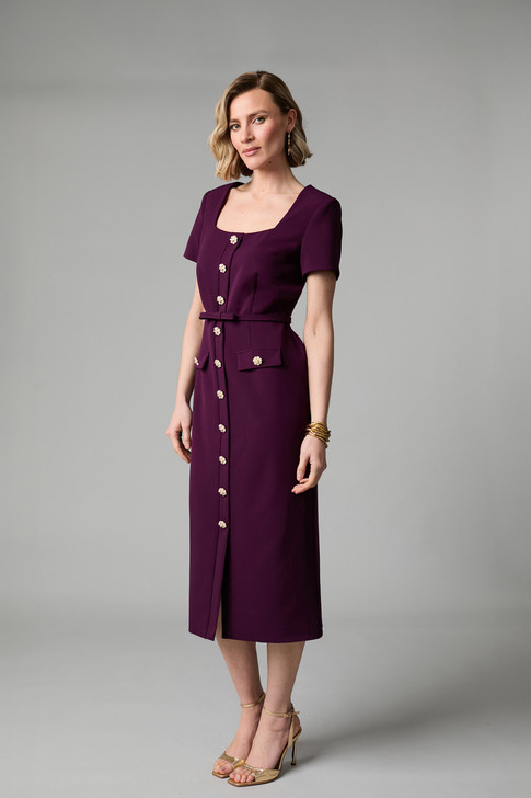 Fee G Felicity Tailored Button Front Dress Plum 
