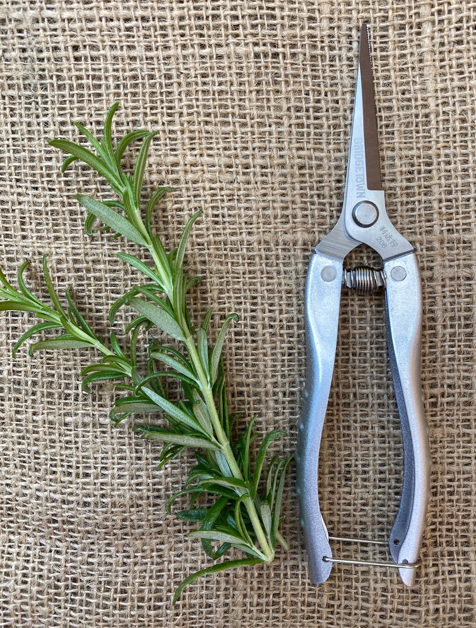 Long Snips - Garden Snips with Long Blades