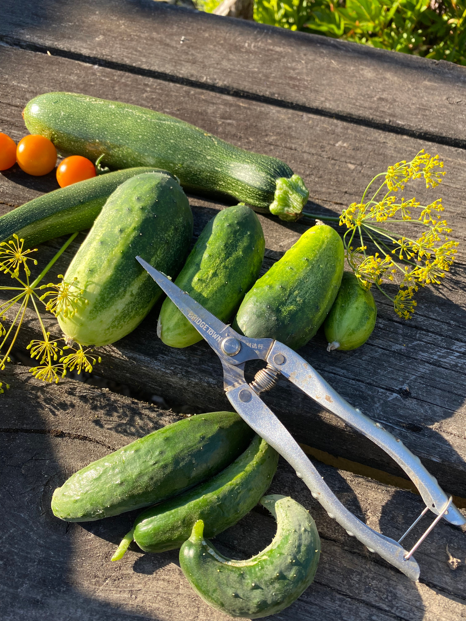 Bridgetown Garden Tools® High quality heirloom garden tools