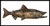 Gyotaku05 Chum Salmon