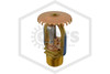 Tyco™ TY3111 Upright Sprinkler | SR | 5.6K | Brass | 280F | 53-111-1-280 | QRFS™ | Hero