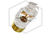 Viking™ VK630 Extended Coverage Horizontal Sidewall Sprinkler | QR | 8.0K | White | 135F | 3/4 in. NPT | 13500MA/W | QRFS™ | Hero