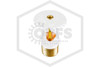 Tyco™ TY3131 White 175F SR Upright 57-370-4-175 Hero Image | QRFS™
