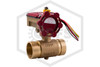 Butterfly Valve with Tamper Switch | FPPI | 2 in. | Grooved | 300 PSI | 06-526-00 | Hero