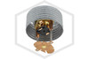 Reliable™ RA5994 Concealed Pendent Sprinkler | QR | 5.6K | Brass | 165F | LTC1